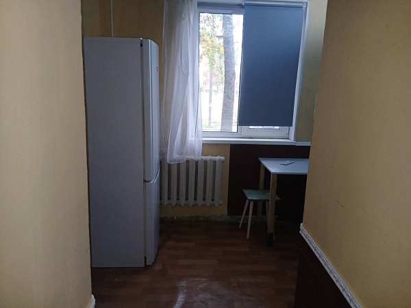2 к.кв. в п. Елизаветино, пл. Дружбы д.29