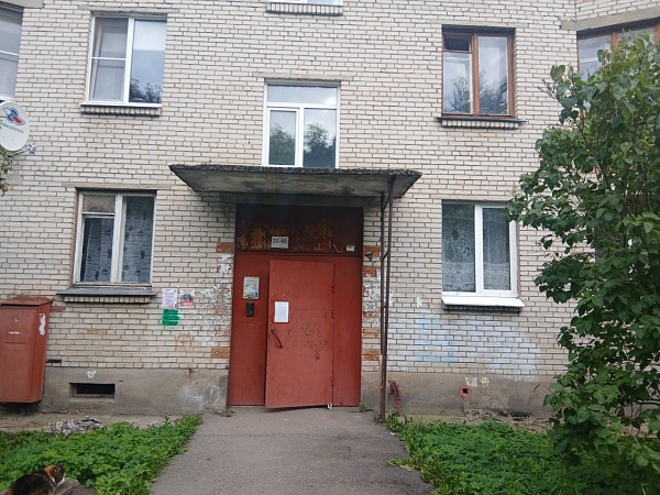 2 к.кв в п. Войсковицы, пл. Манина д.1