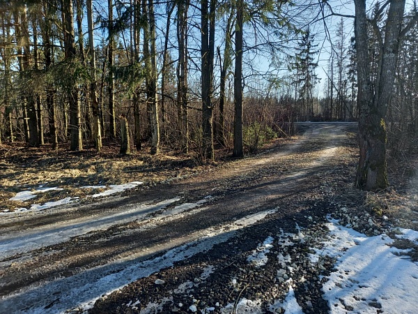Участок ИЖС 13 сот. в п. Войсковицы Участок ИЖС 13 сот. в п. Войсковицы