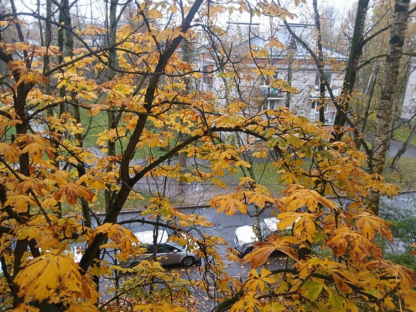 Сдам 3 к.кв. на 2 Комсомольской д.53