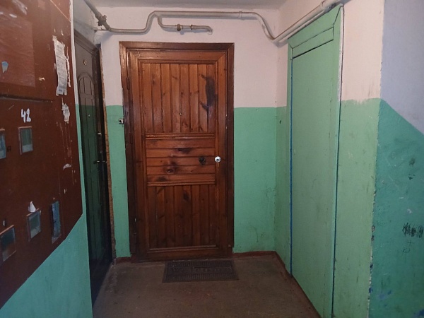 2 к.кв. в п. Елизаветино, пл. Дружбы д.29