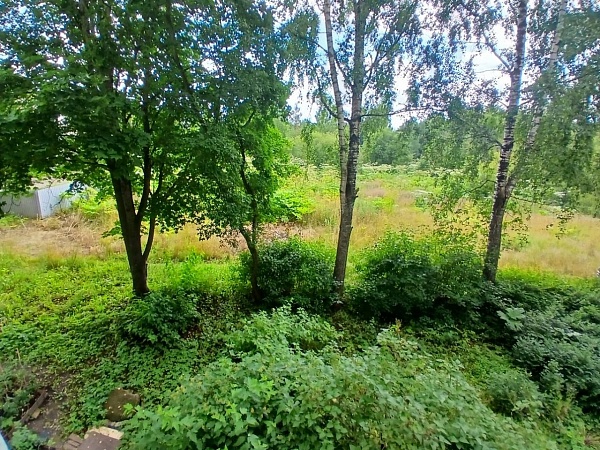 1 к.кв. в п. Н. Свет д.