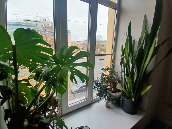 Комната 13,9м2 на Дровяной ул. д.6