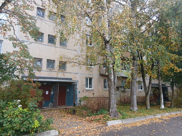 2 к.кв. в п. Елизаветино, пл. Дружбы д.29